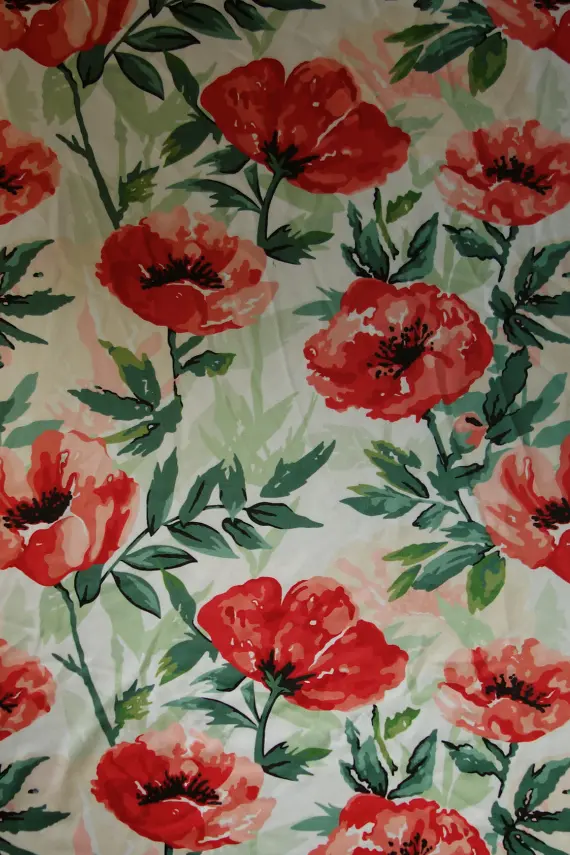 eBJx6Oo2DTJe5sumHDEN9q7pcETLBfKn 拷贝.png