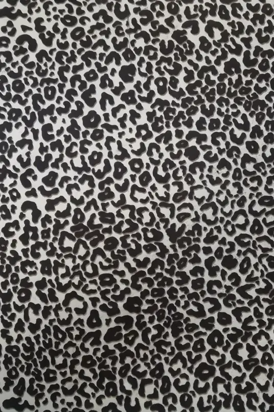 kgDhaGwXVT3xdvVJYmFZlITtGdIlXlRK 拷贝.png