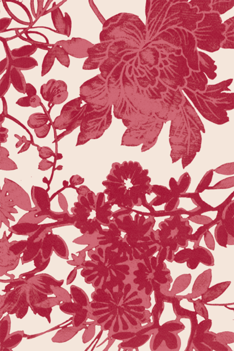 nr1aS8lRlIbv3Boo8xeS29lBqZ6sgJXk